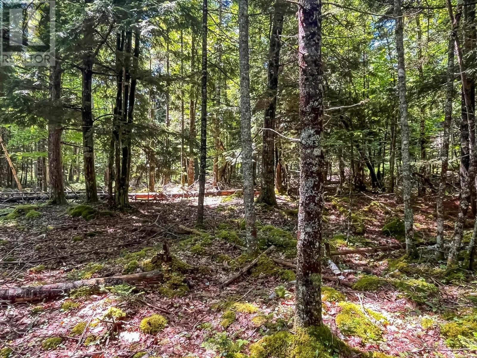 Property 7 of 12 of Lot 1000  Conquerall Road