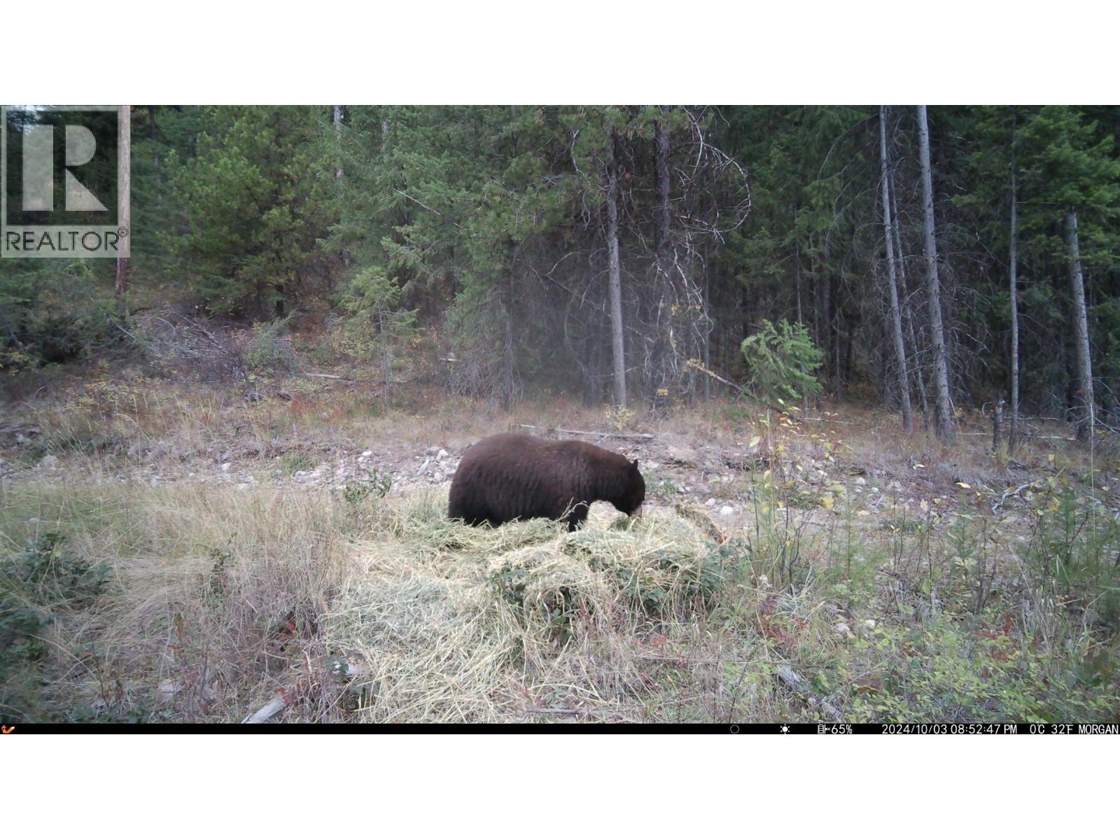 8595 Christian Valley Road, Westbridge