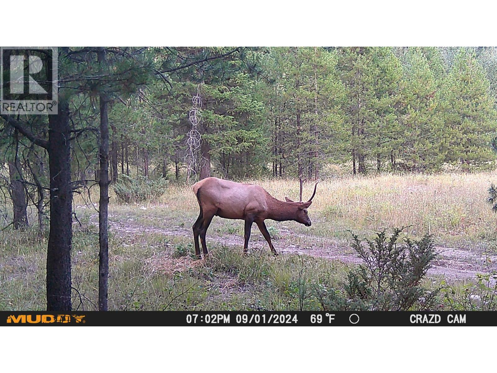 8595 Christian Valley Road, Westbridge