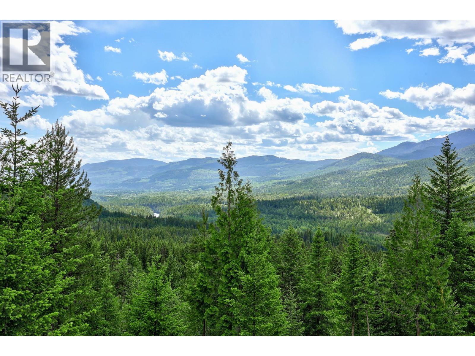 1249 CLEARWATER VALLEY Road - 28