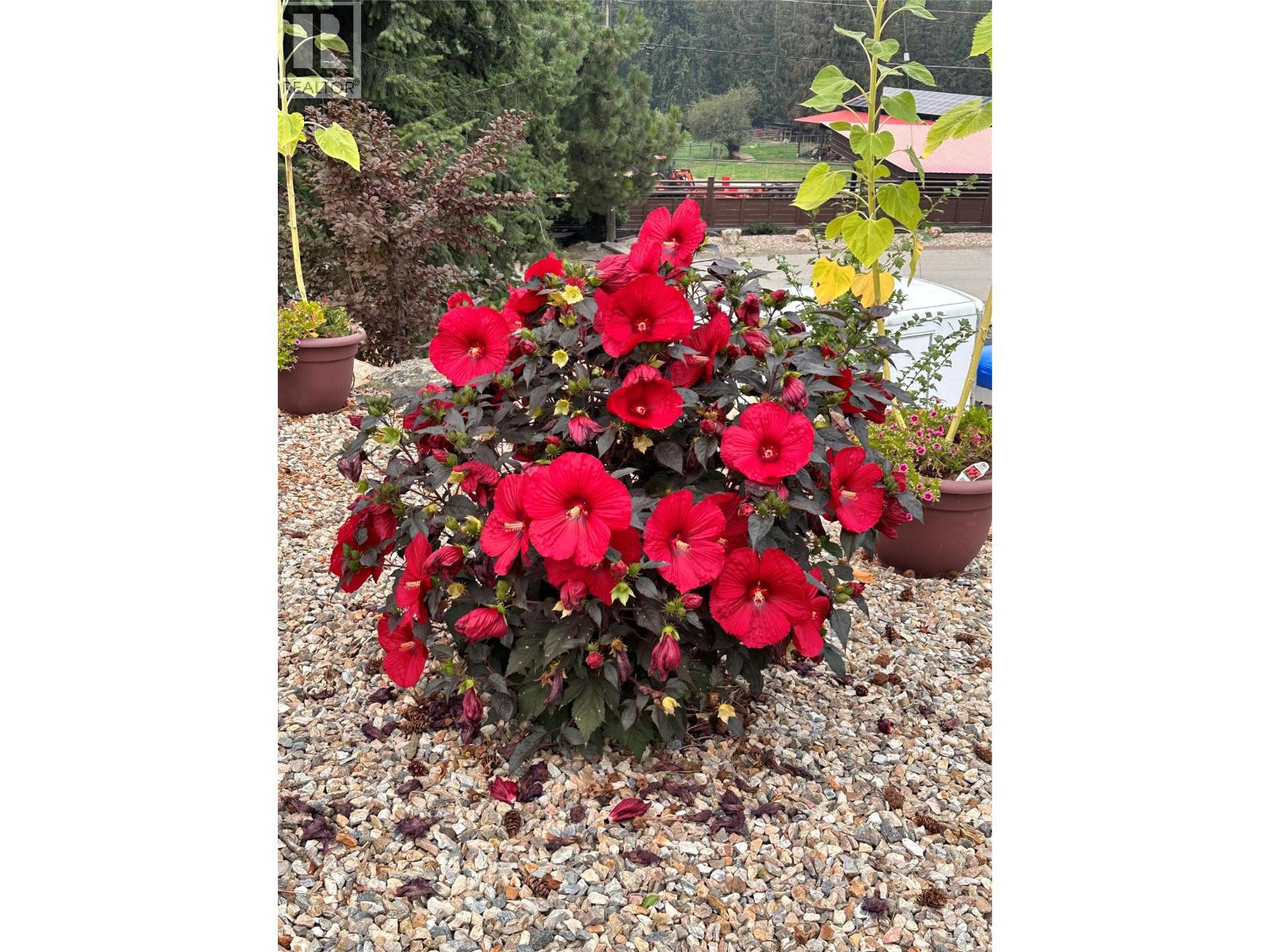 5100 Haynes Road, Vernon