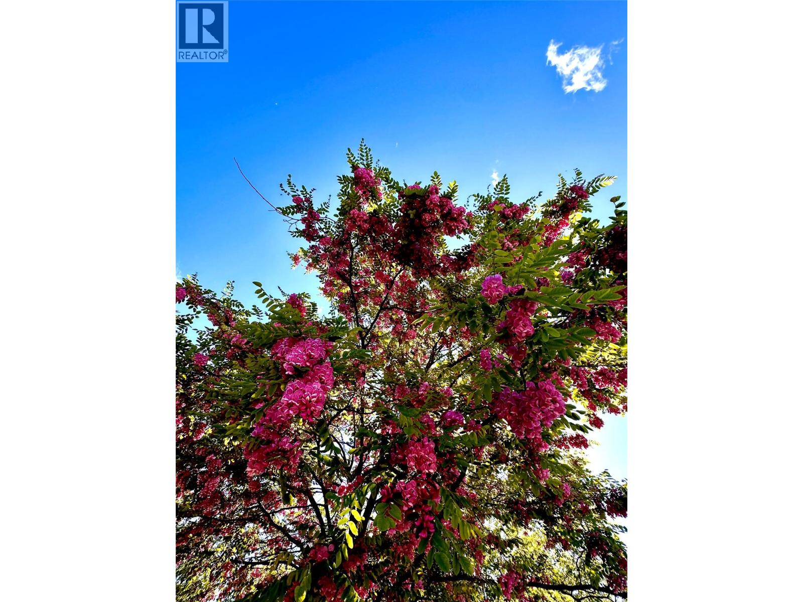 5100 Haynes Road, Vernon