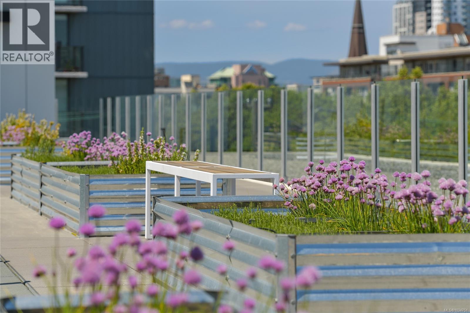 N310 1105 Pandora Avenue, Victoria