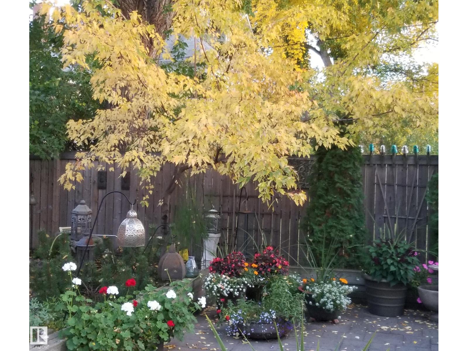 10828 125 ST NW, Edmonton