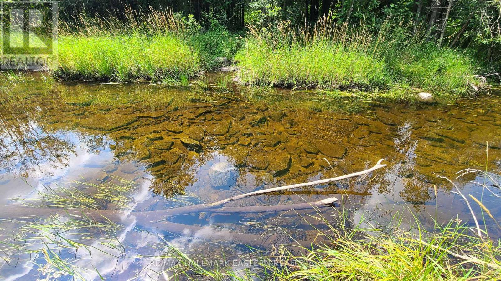 N/A KEATING ROAD N - Photo 2 of 26, Havelock-Belmont-Methuen (Belmont-Methuen), Ontario