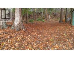 Lot 1 Squilax Anglemont Road, Anglemont, BC V0E1M8 Photo 8