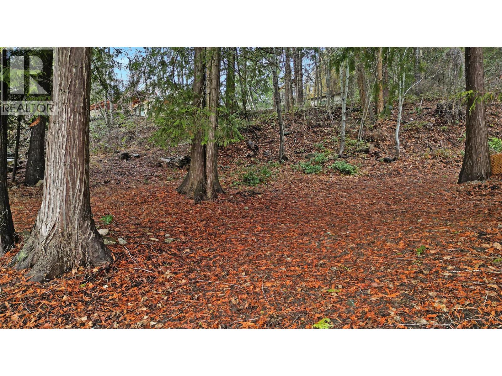 LOT 1 SQUILAX ANGLEMONT ROAD - 6