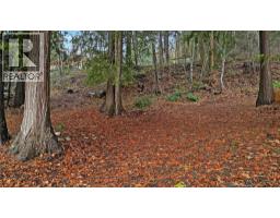 Lot 1 Squilax Anglemont Road, Anglemont, BC V0E1M8 Photo 10