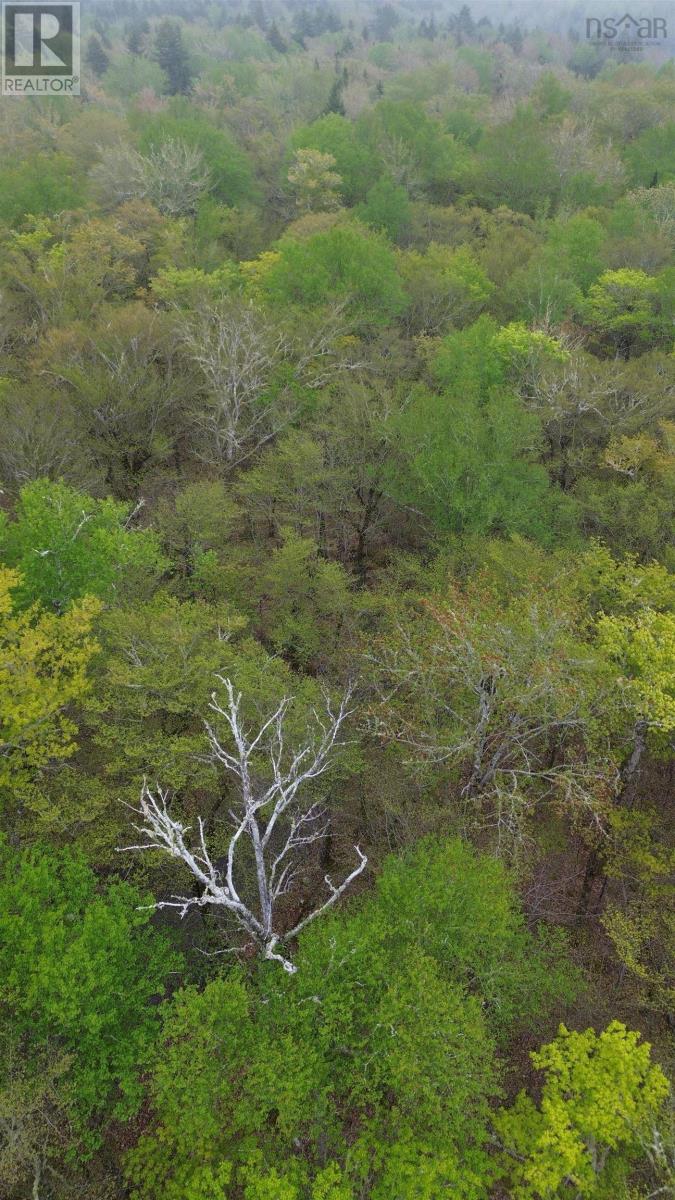 Property 2 of 4 of Lot 46 Turner Point Road