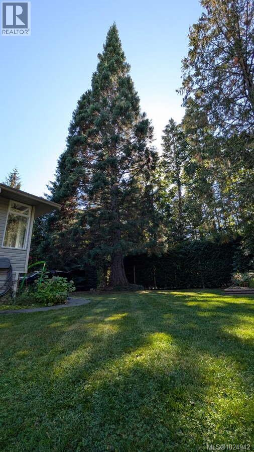 100 Elk Rd, Lake Cowichan