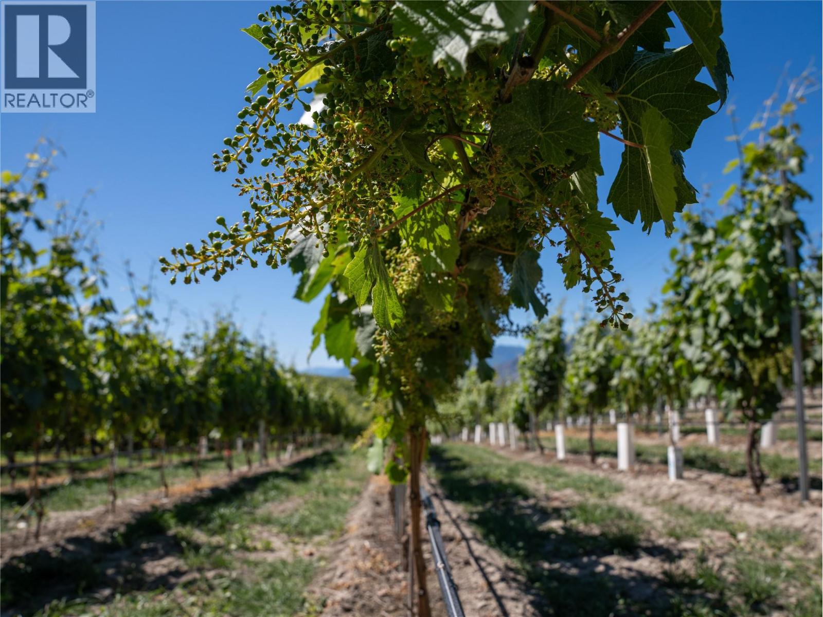 2805 Aikins Loop, Naramata