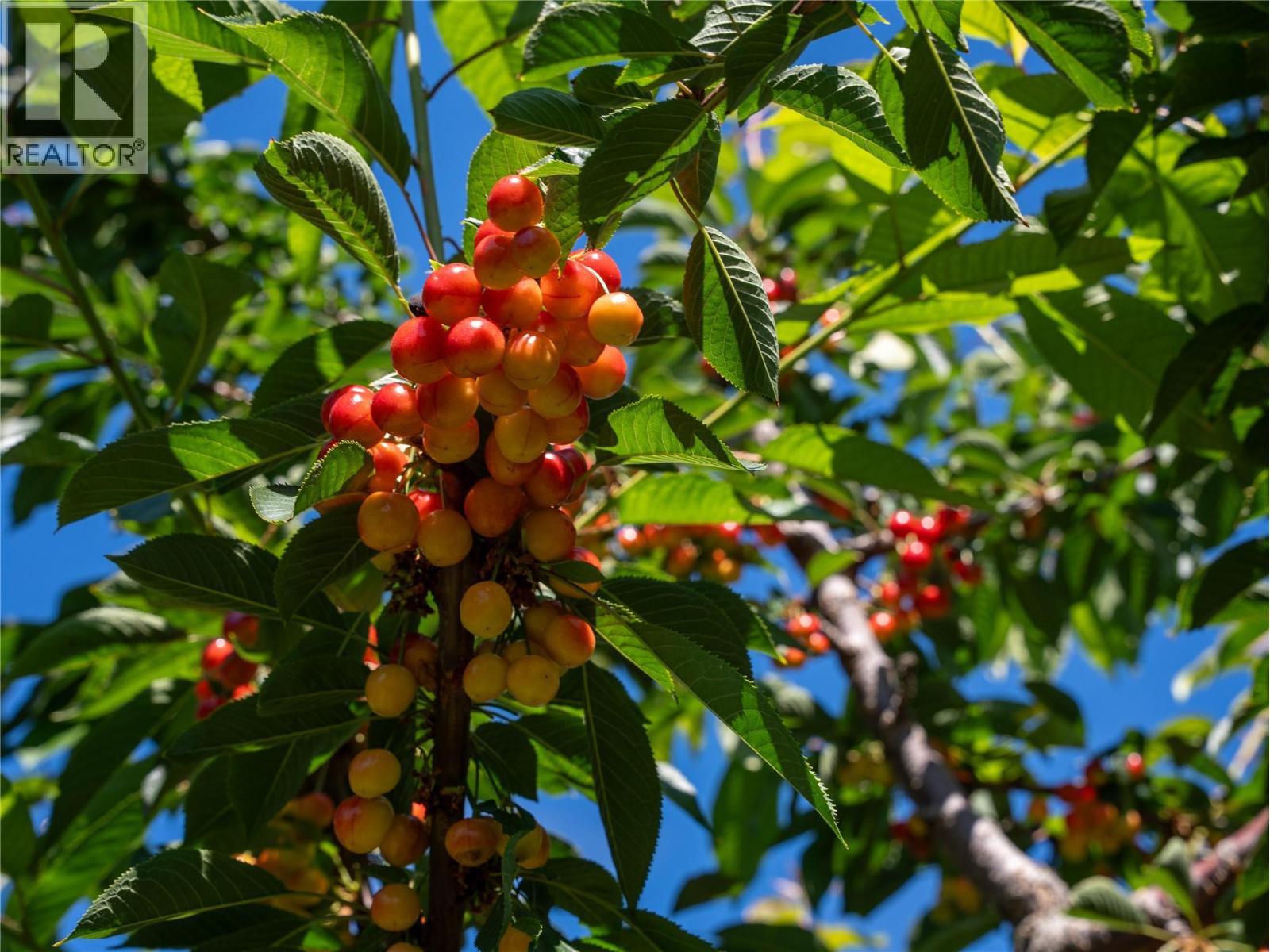 2805 Aikins Loop, Naramata