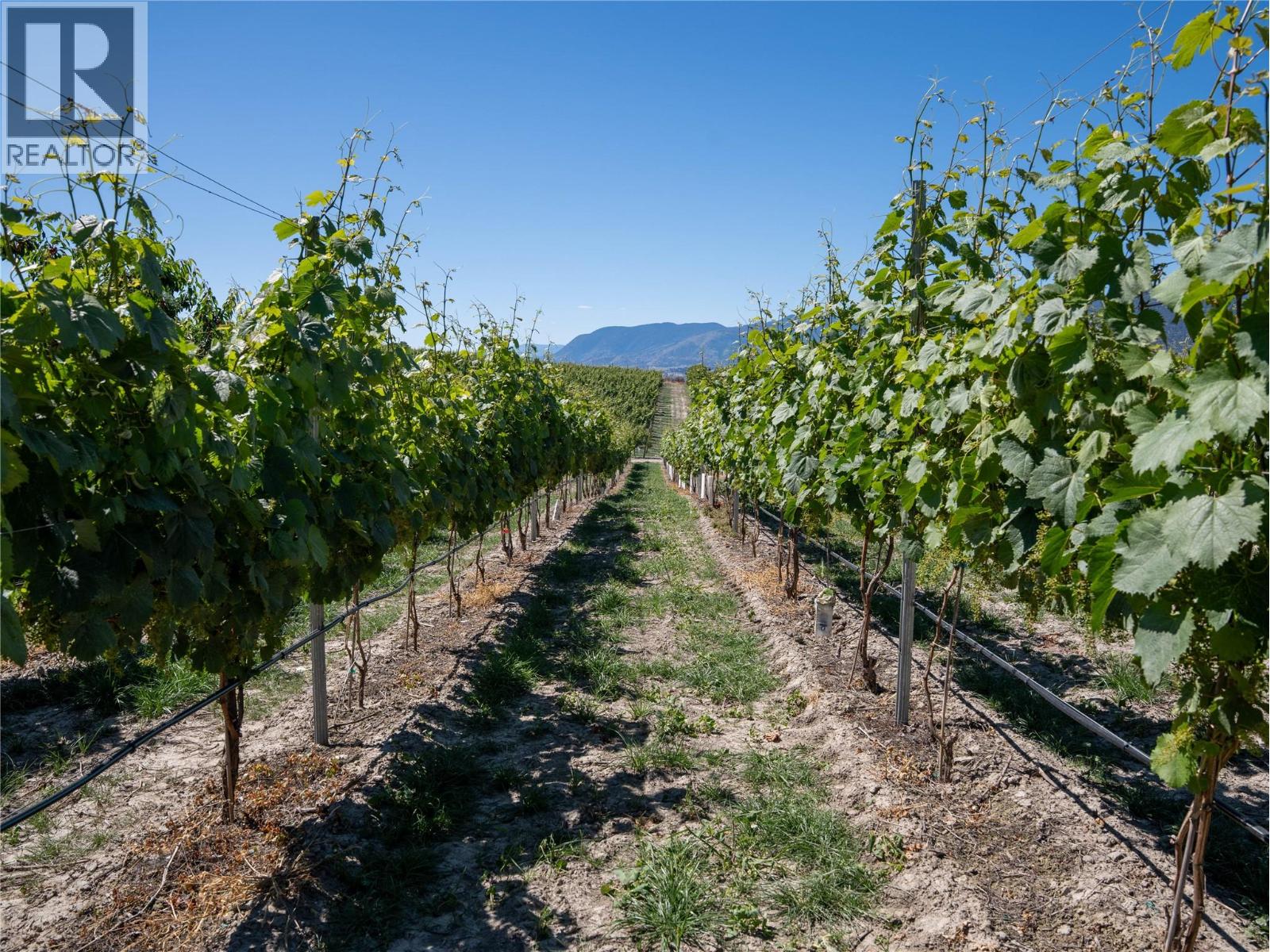 2805 Aikins Loop, Naramata