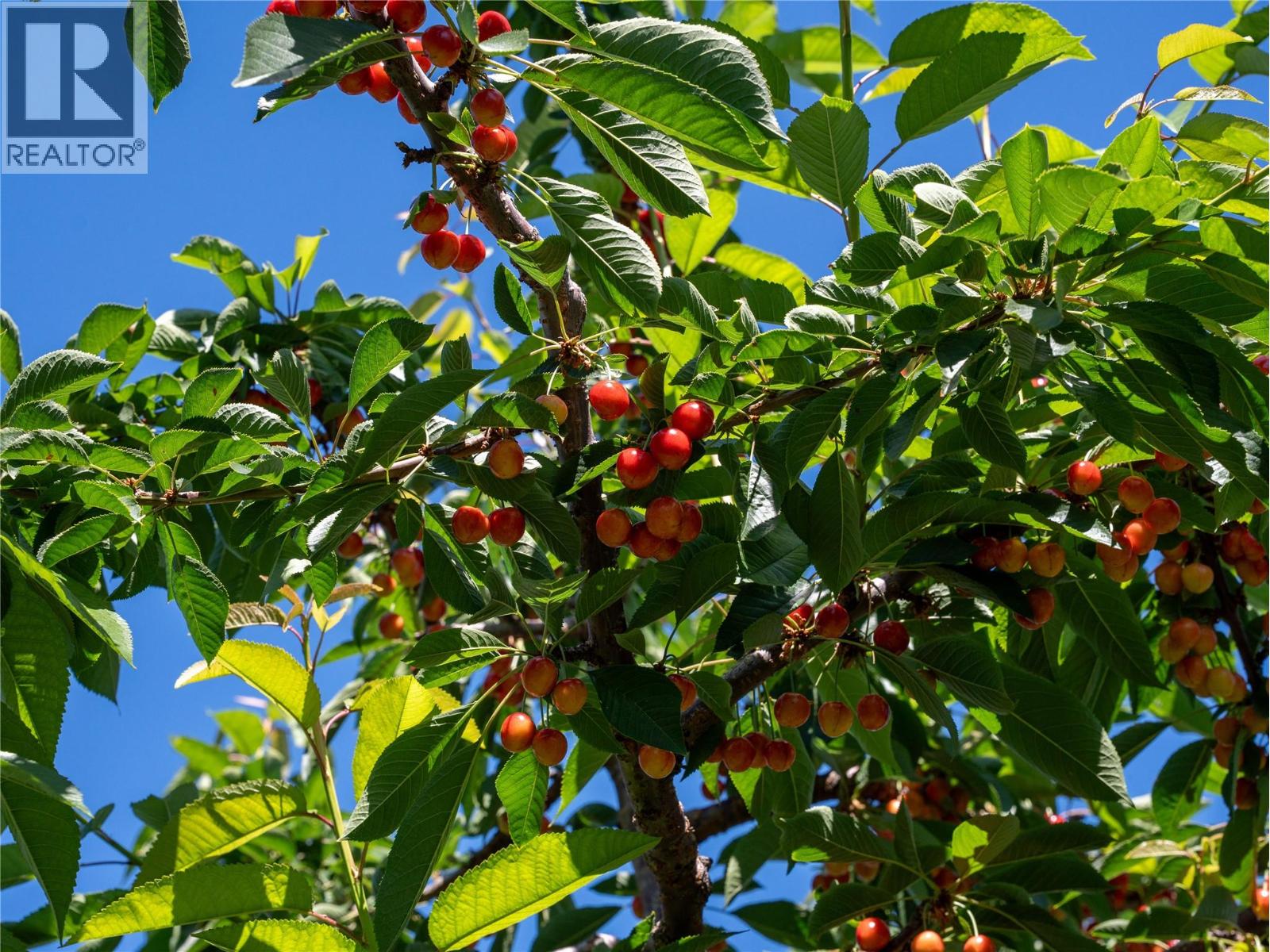 2805 Aikins Loop, Naramata