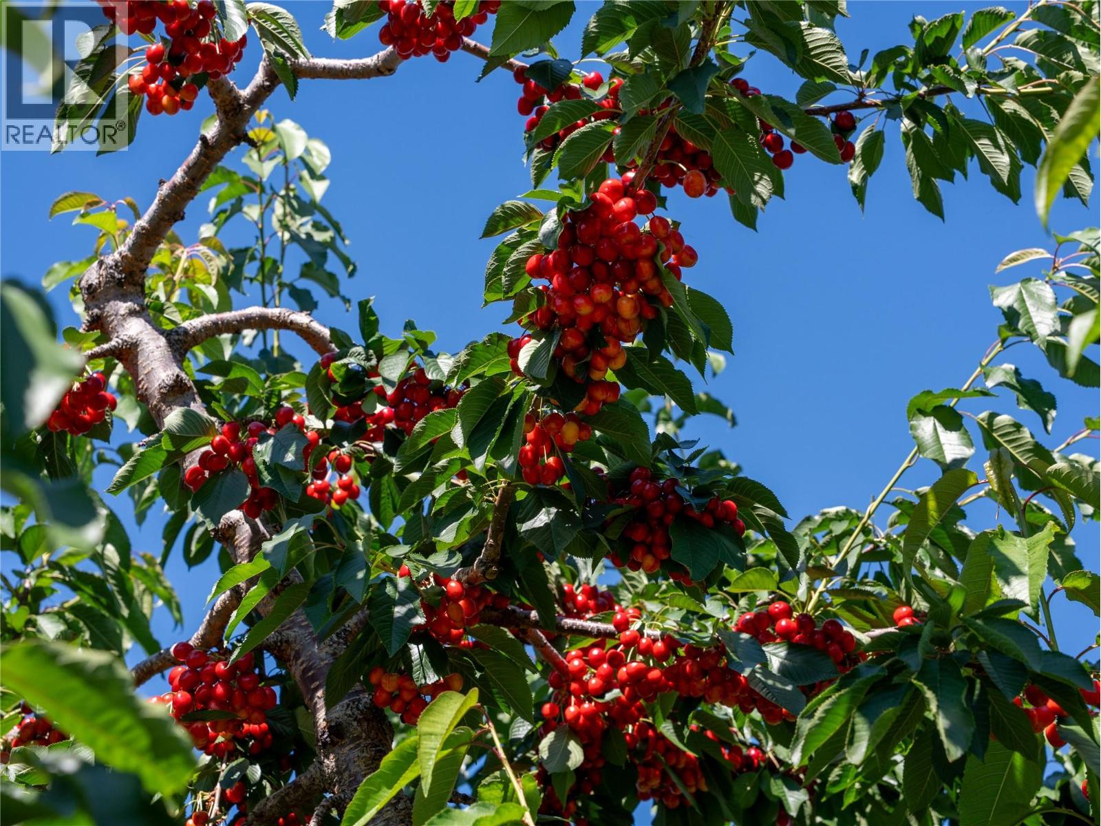 2805 Aikins Loop, Naramata