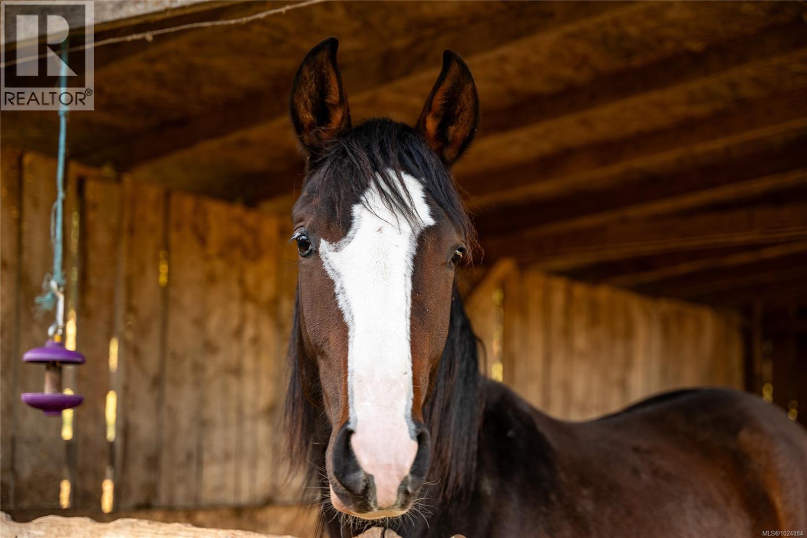 7727 SUPERIOR RD - 41