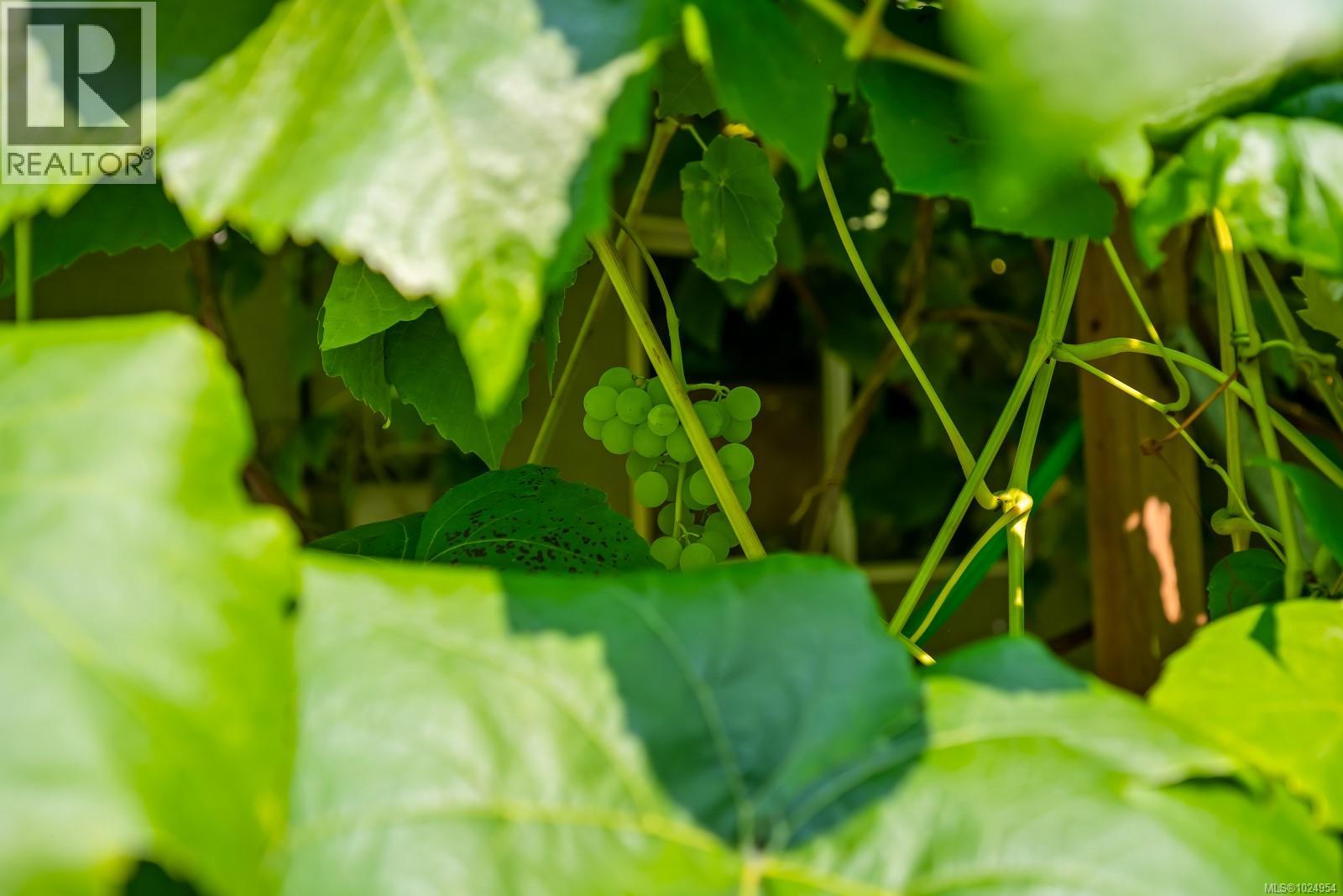 2180 SCHULZ Rd, Black Creek