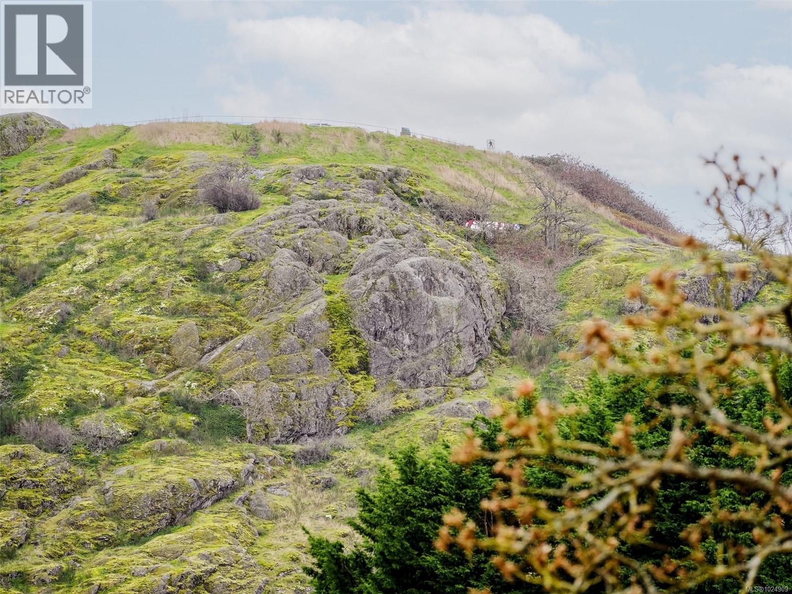 202 1694 Cedar Hill Cross Road, Saanich