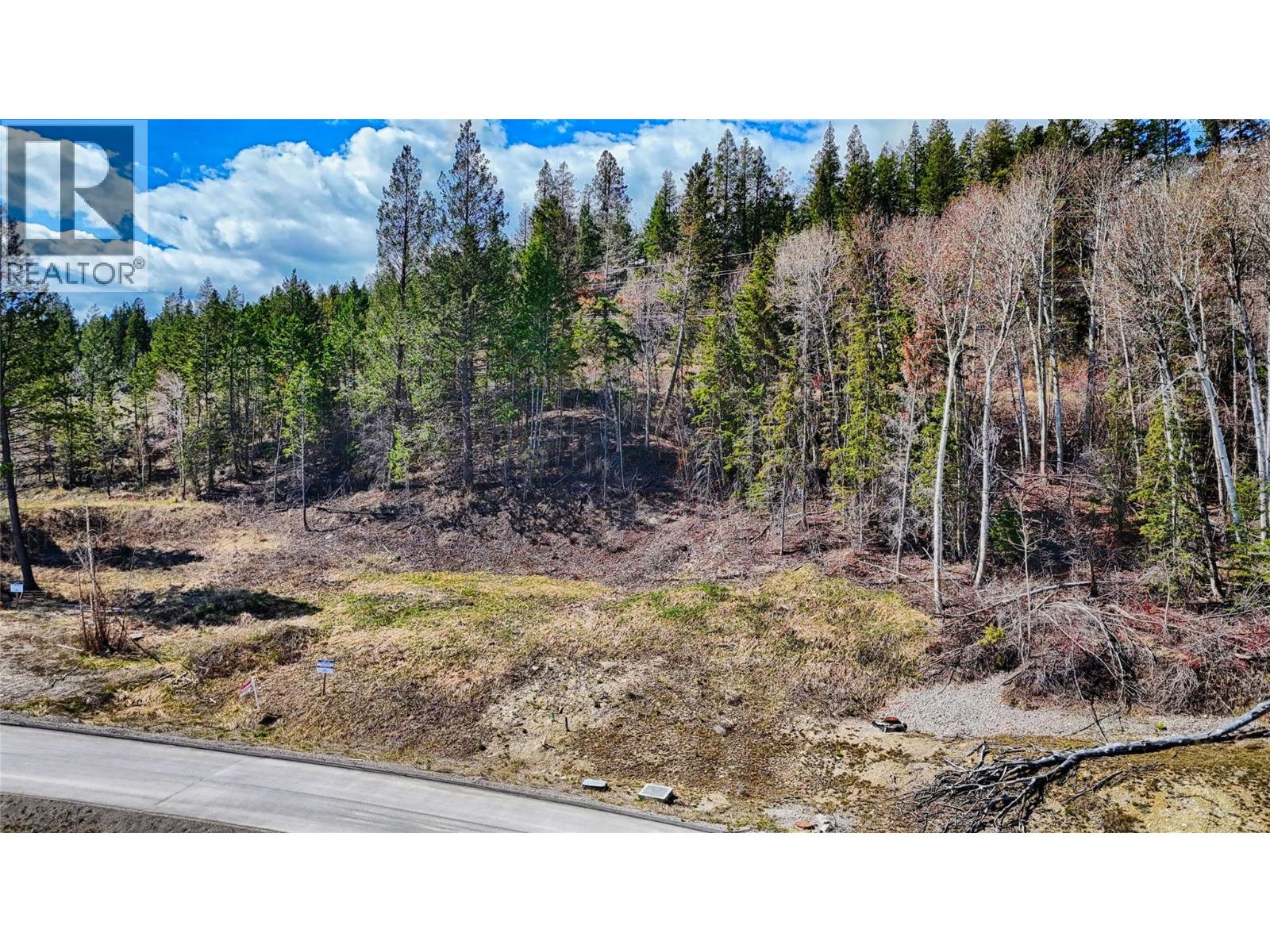 6200 COLUMBIA LAKE ROAD LOT# 12 - 13