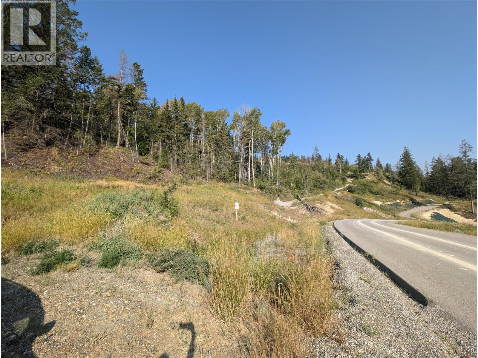 6200 COLUMBIA LAKE ROAD LOT# 12 - 8