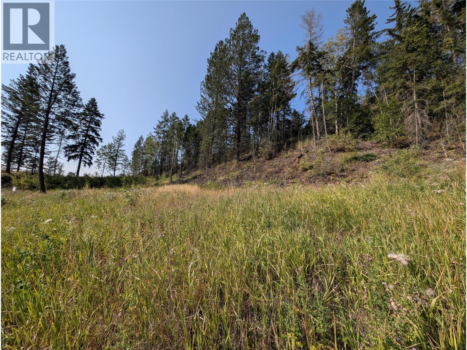 6200 COLUMBIA LAKE ROAD LOT# 12 - 6