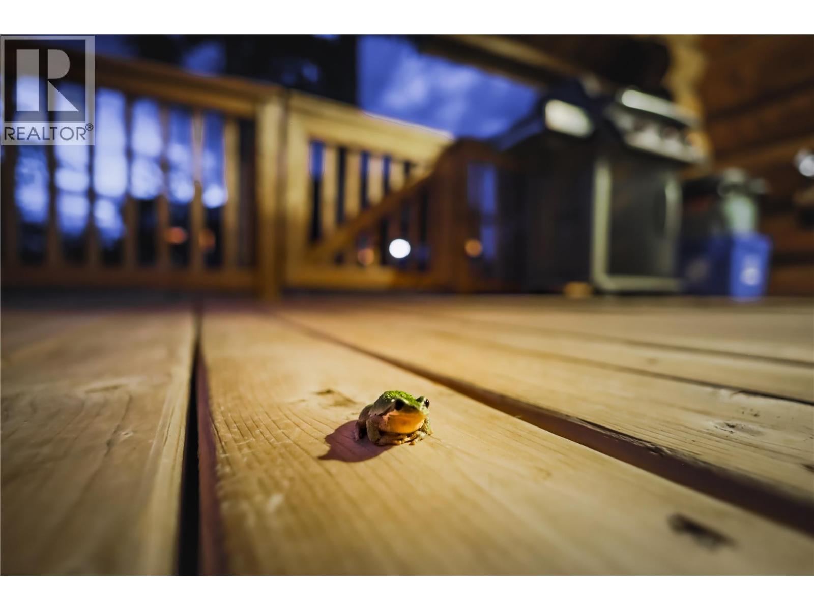  Cabin 10 Hatheume Lake Lodge Other, Peachland