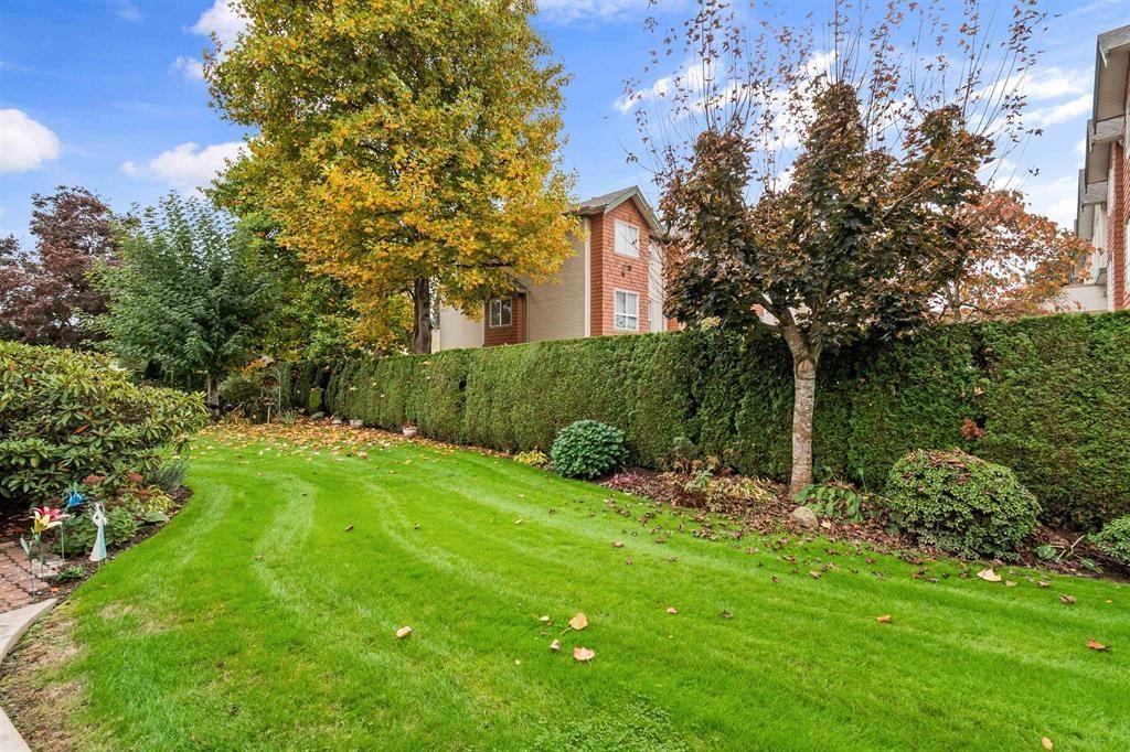 3 9515 WOODBINE STREET, Chilliwack Proper East, Chilliwack