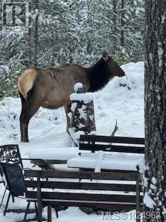 517 Burman Crt, Gold River