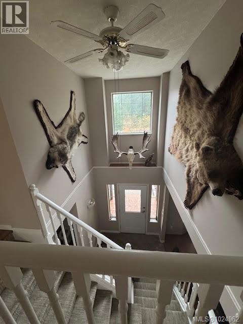 517 Burman Crt, Gold River