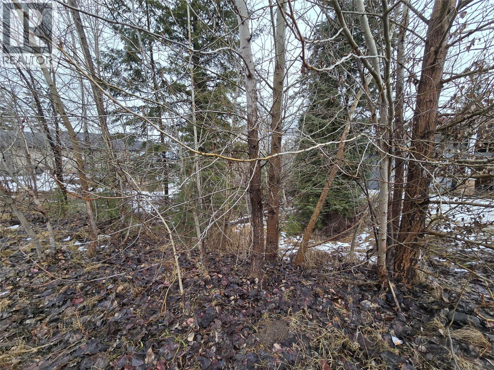 2557 Cedar Ridge Court, Lumby