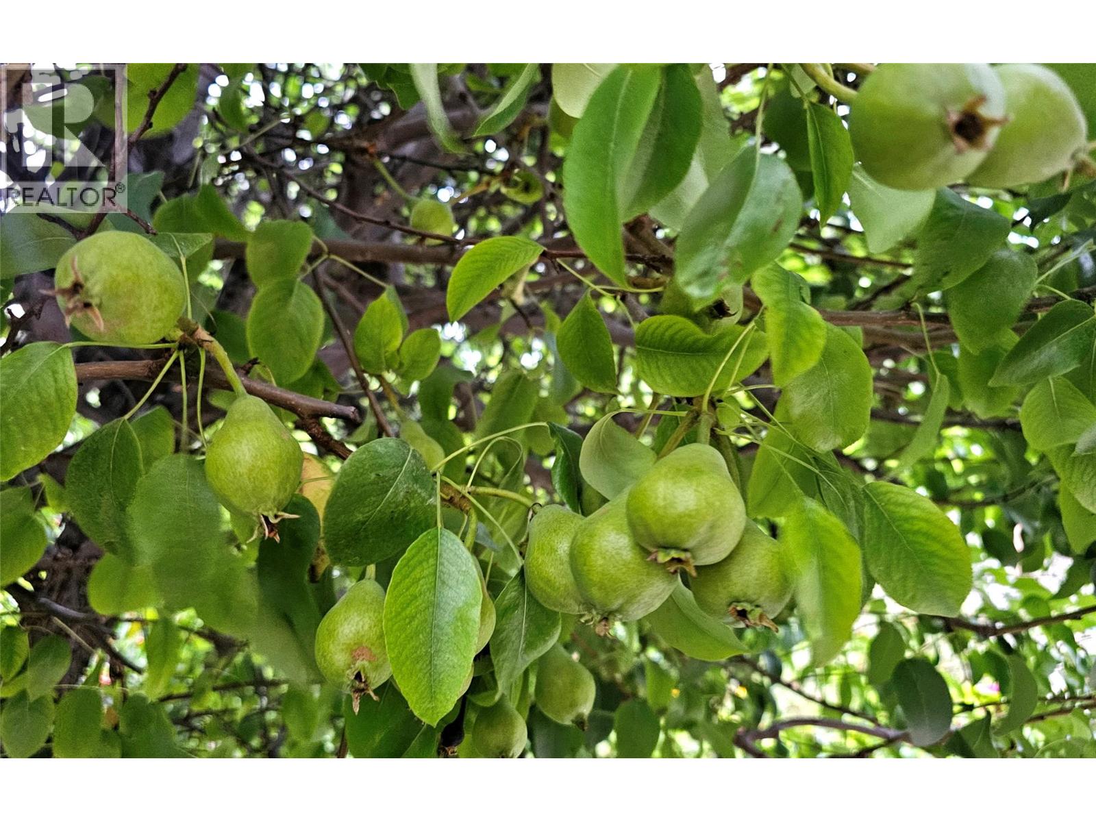  1056 Caledonia Way, West Kelowna