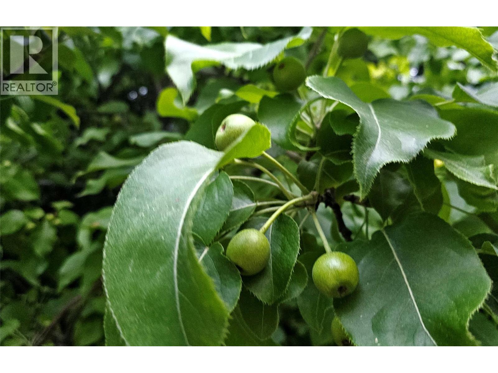  1056 Caledonia Way, West Kelowna