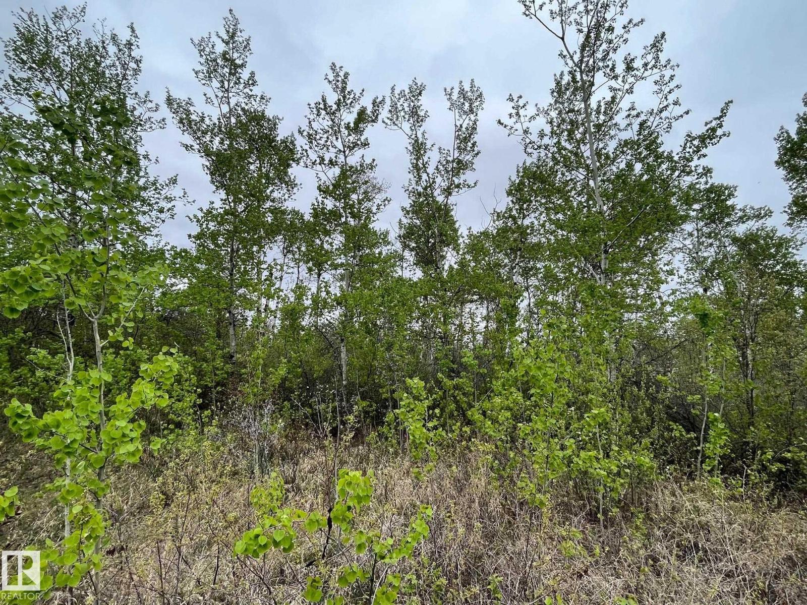 #10 60503 Rge Rd 470 - Photo 3 of 5, Rural Bonnyville M.D., Alberta