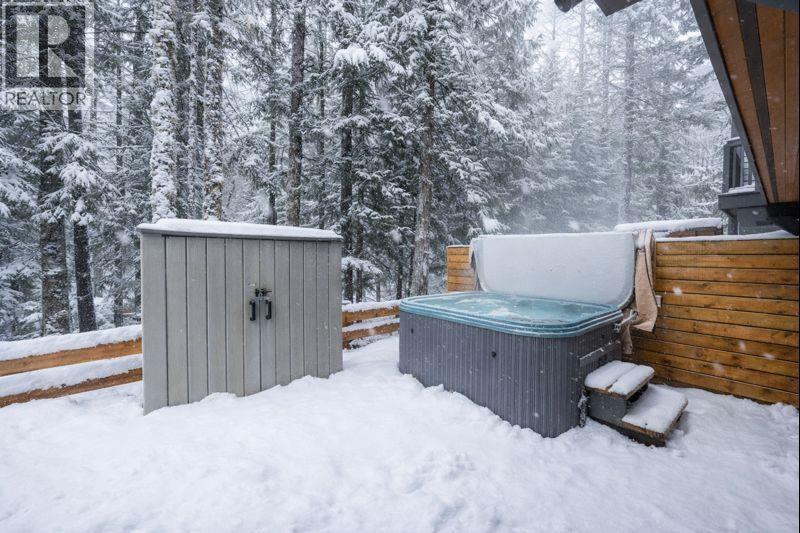 20 1530 TYNEBRIDGE LANE, Whistler