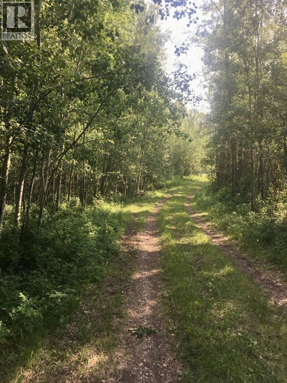ON Highway 771 - Photo 5 of 12, Rural Ponoka County, Alberta
