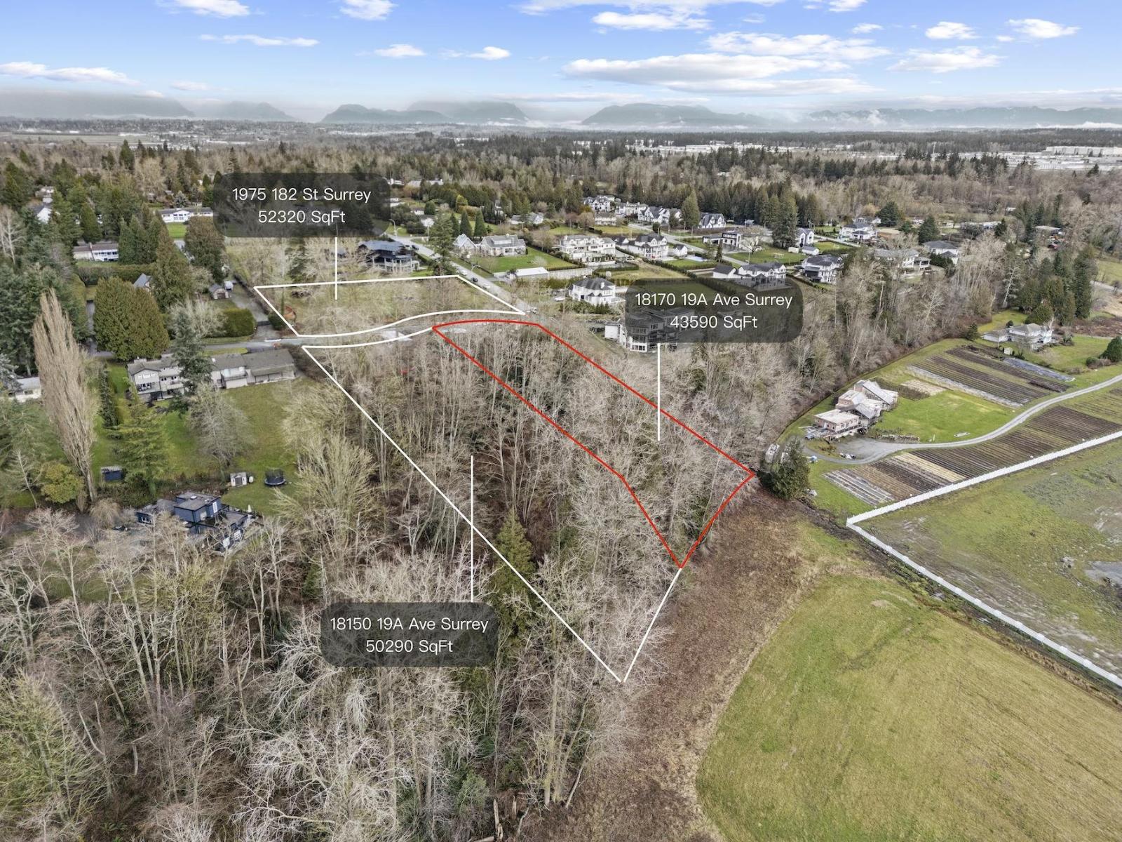 18170 19A AVENUE, Surrey