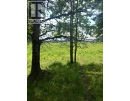 On Highway 771, Rural Ponoka County, AB T0C2J0 Photo 8