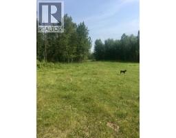 On Highway 771, Rural Ponoka County, AB T0C2J0 Photo 9