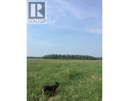 On Highway 771, Rural Ponoka County, AB T0C2J0 Photo 10