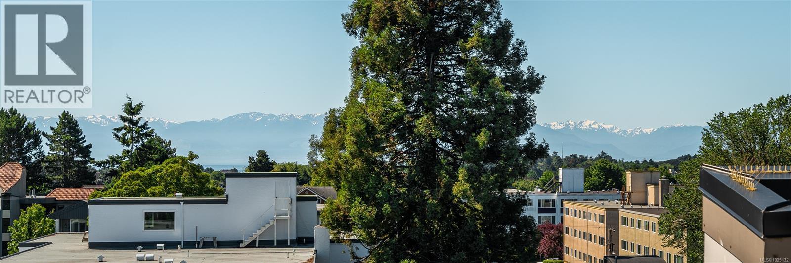 203 1121 Fort Street, Victoria