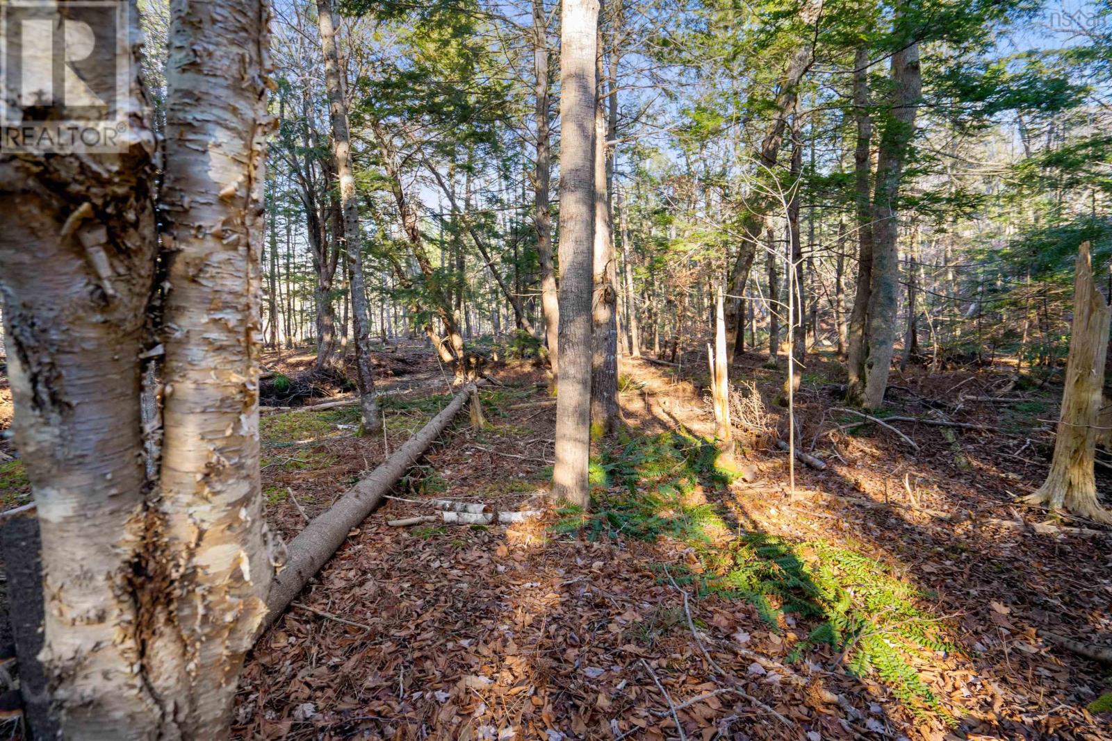 Property 6 of 15 of Pine Tree Road