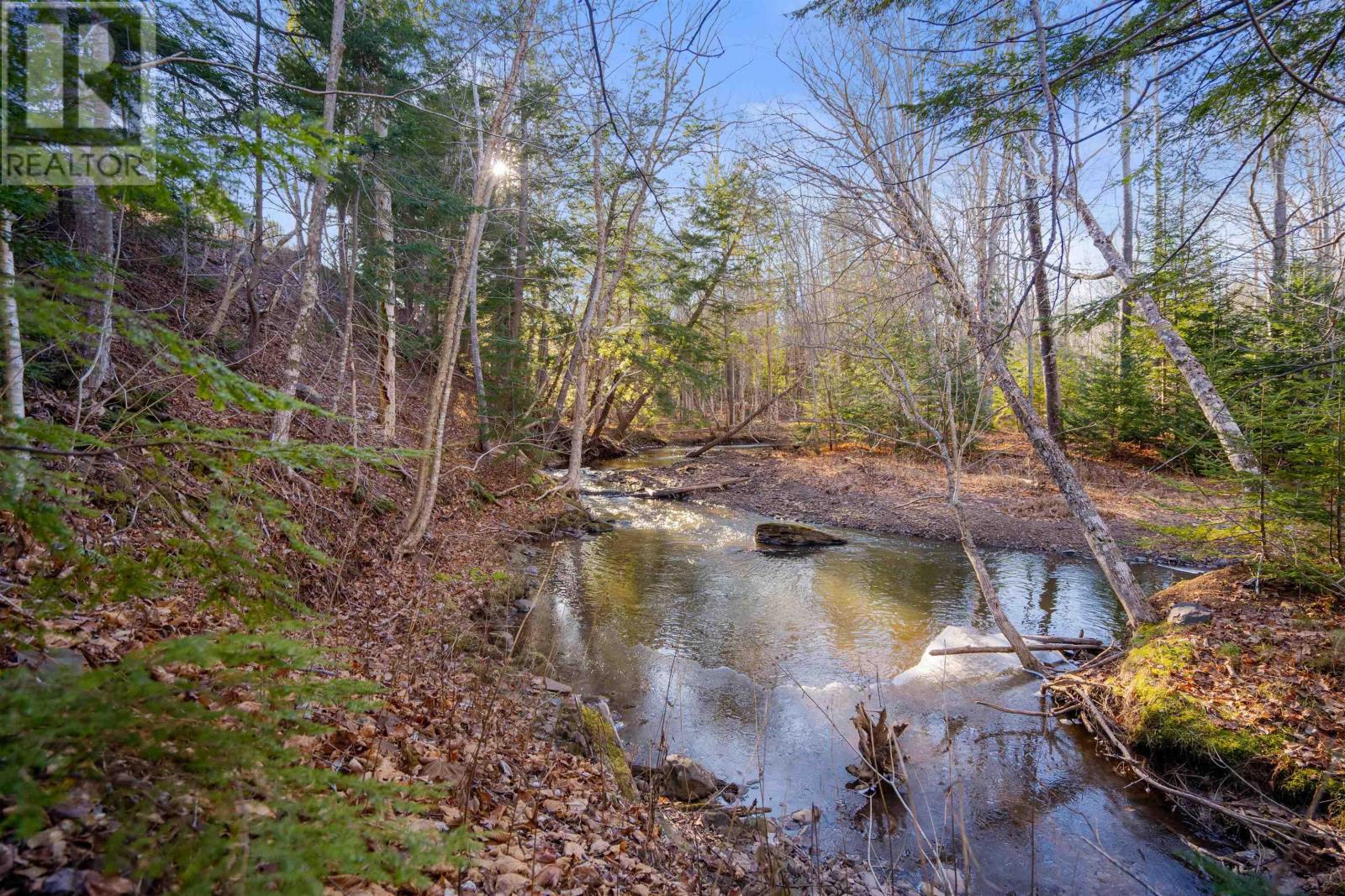 Property 4 of 15 of Pine Tree Road