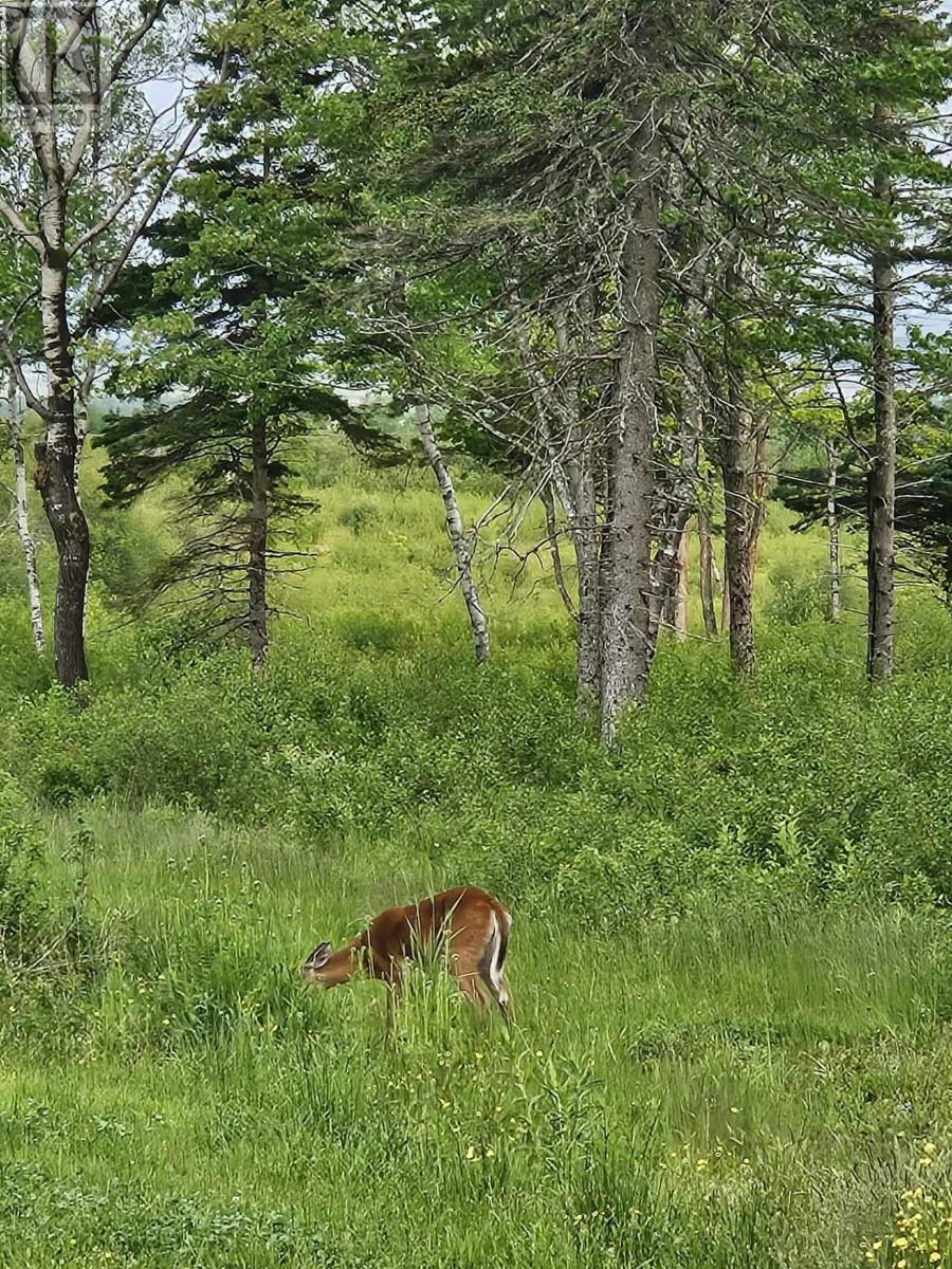 Property 15 of 23 of 1371 Mines Road