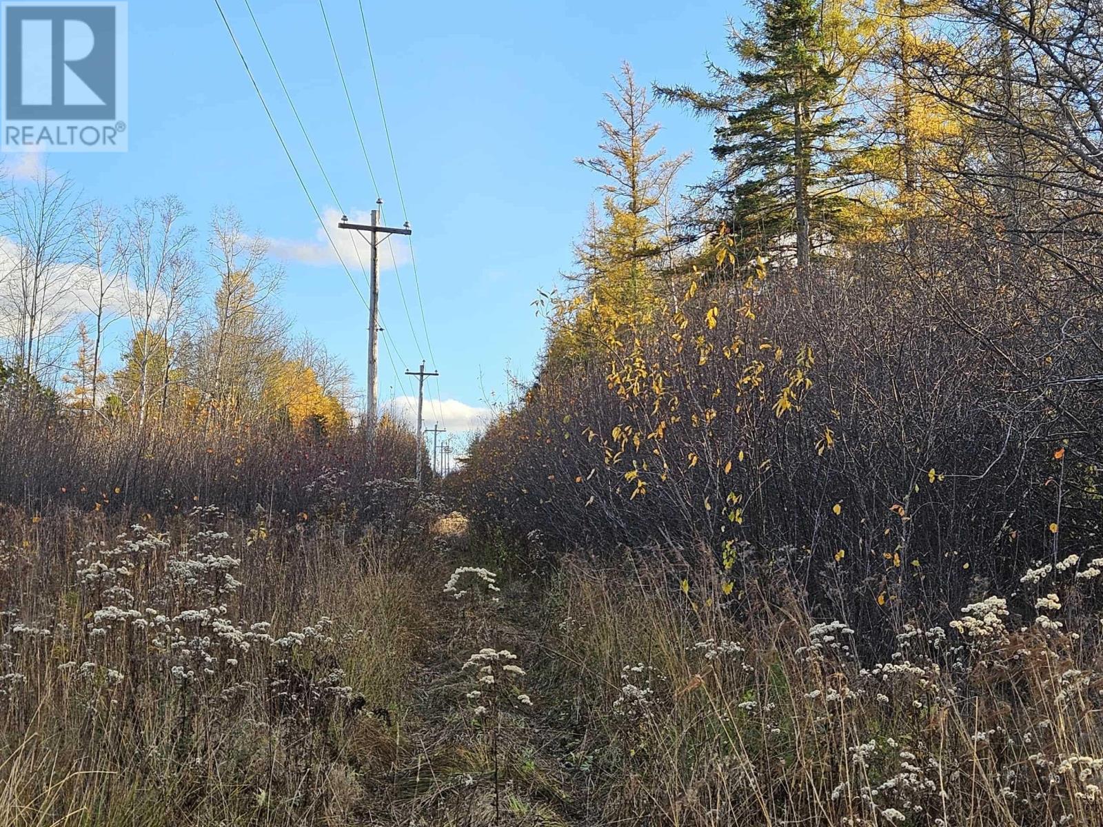 Property 12 of 23 of 1371 Mines Road