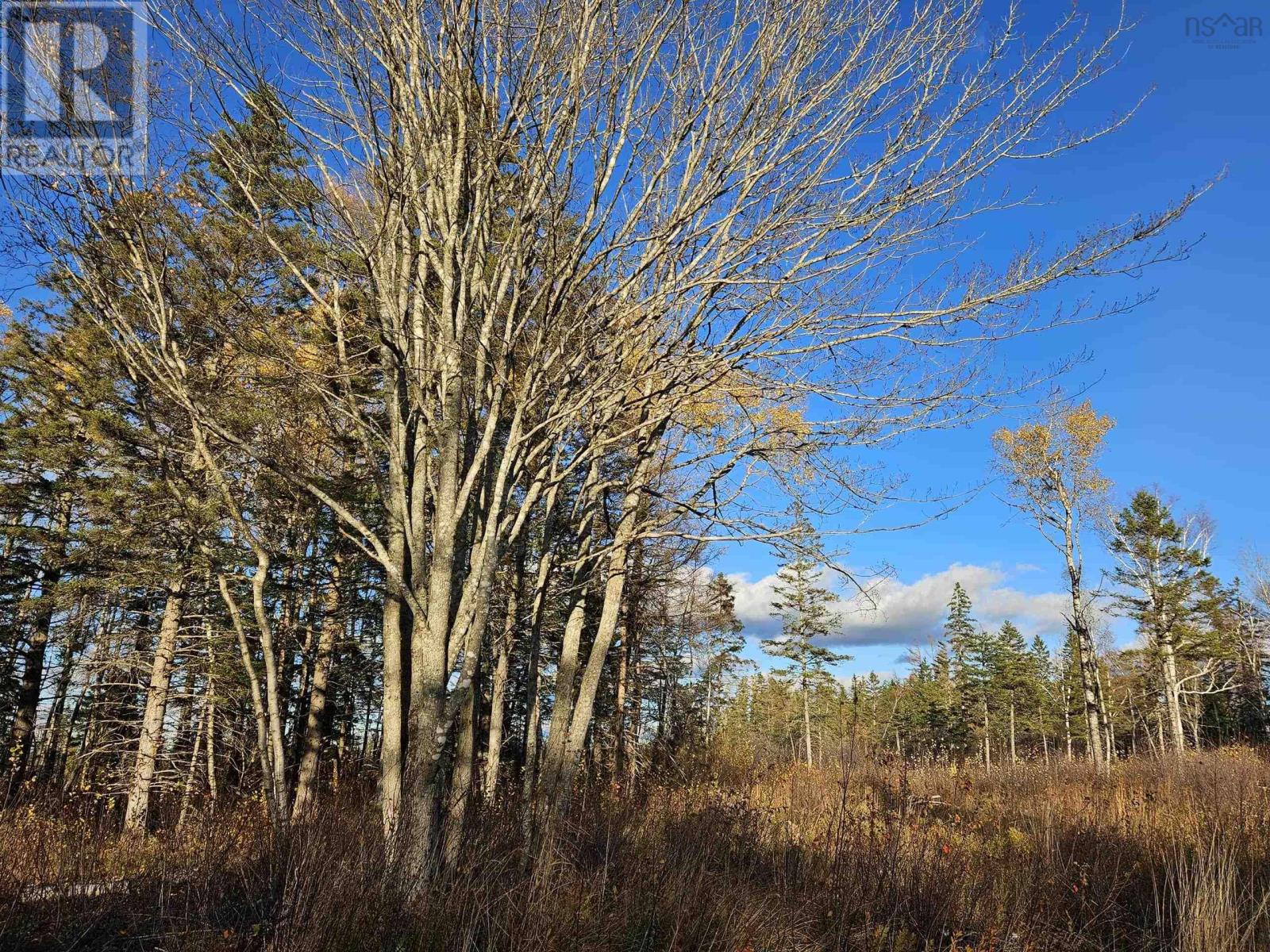 Property 11 of 23 of 1371 Mines Road