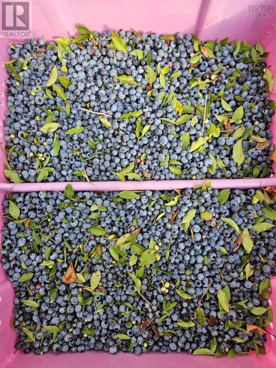 Property 14 of 23 of 1371 Mines Road