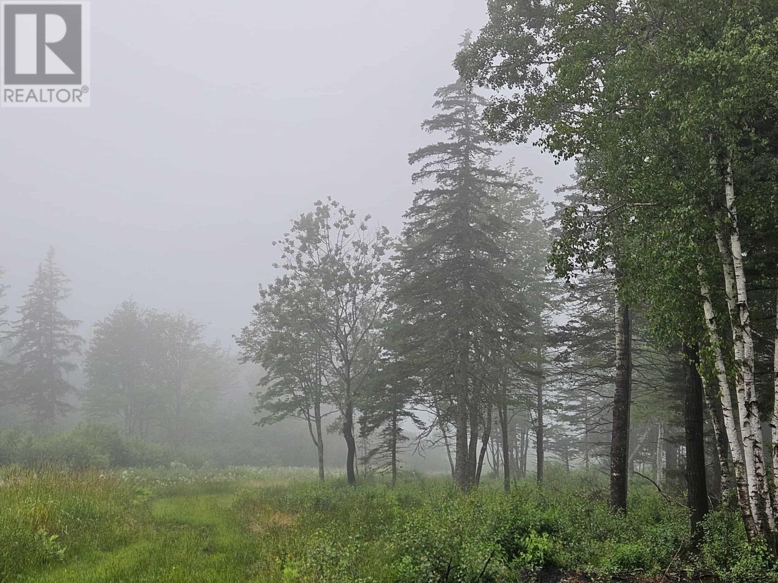 Property 20 of 23 of 1371 Mines Road