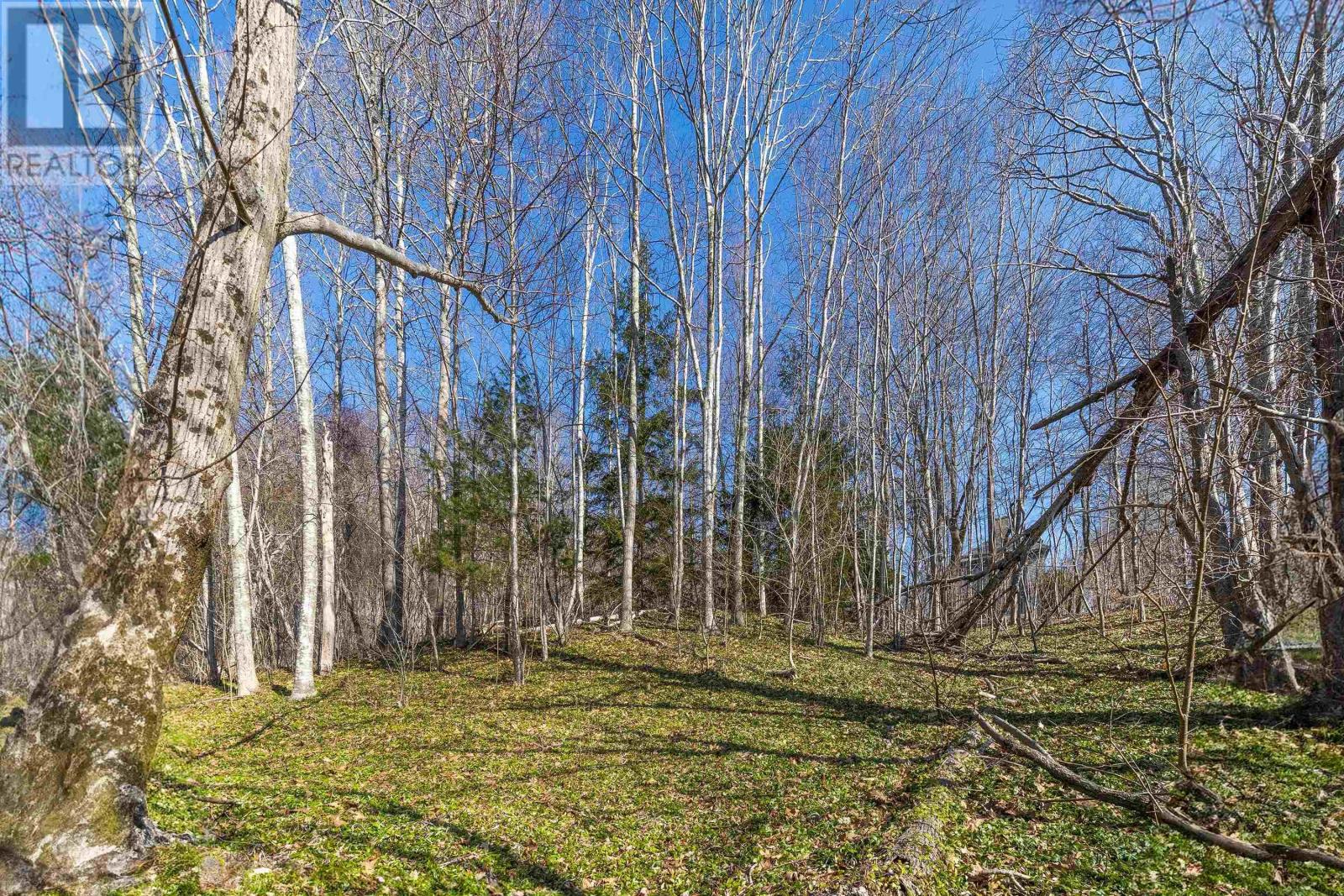 793 Lahave Street - Photo 4 of 12, Bridgewater, Nova Scotia