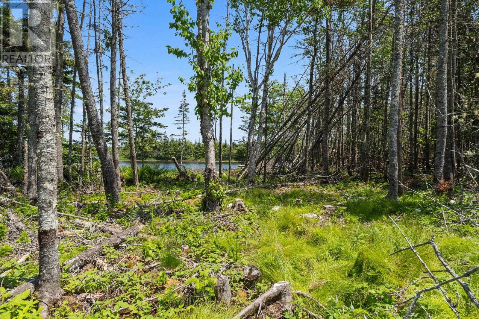 Property 22 of 28 of Lot Highway 207