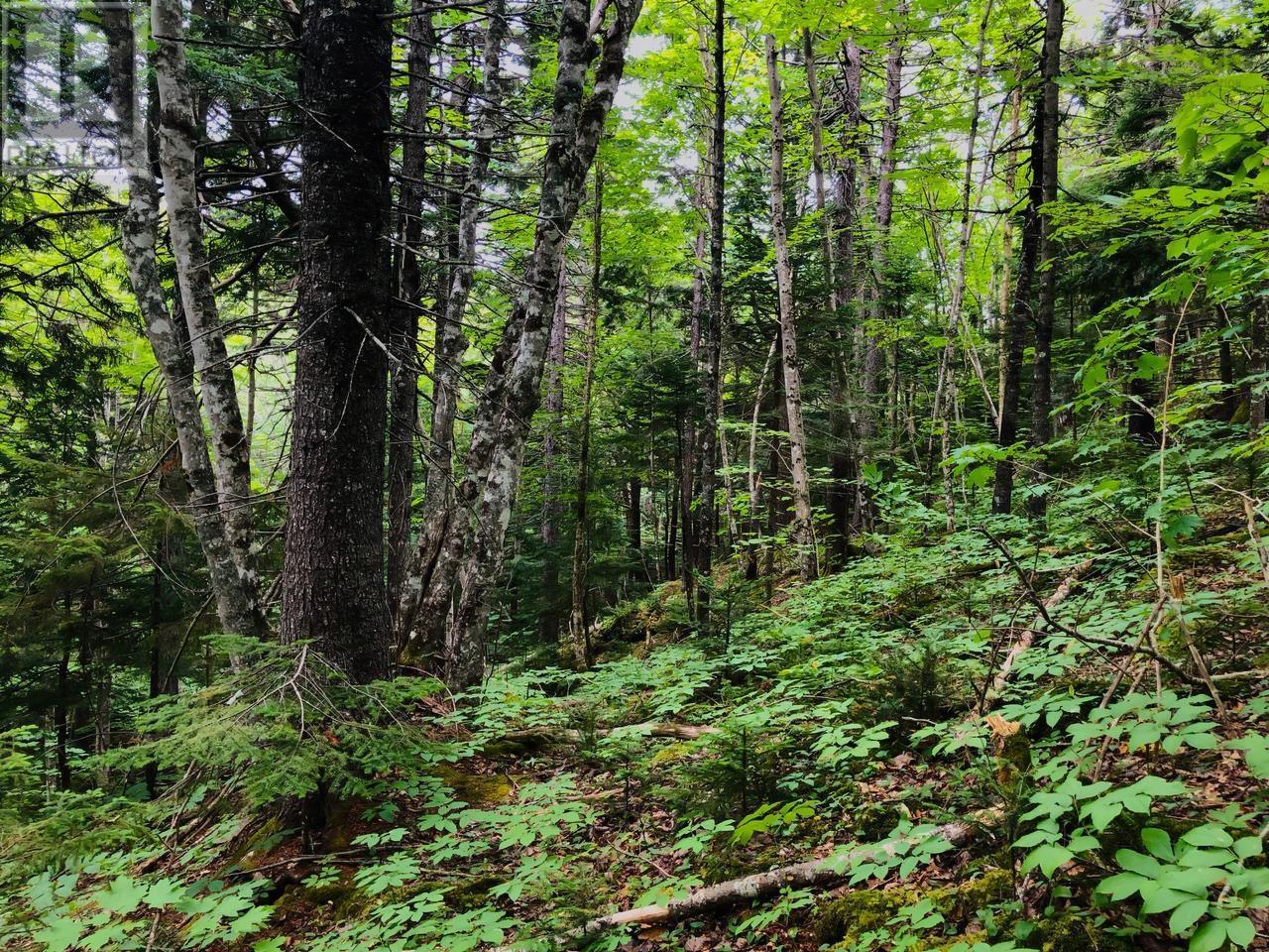 Property 13 of 22 of 1269 Hampton Mountain Road